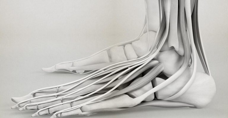 BellaSeno évalue la technologie des polymères résorbables pour la reconstruction des tendons et des ligaments