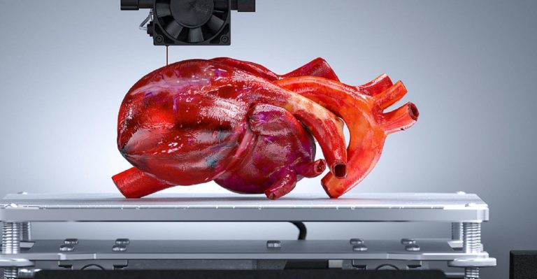 Des chercheurs conçoivent une méthode d’impression 3D rapide pour les organes humains