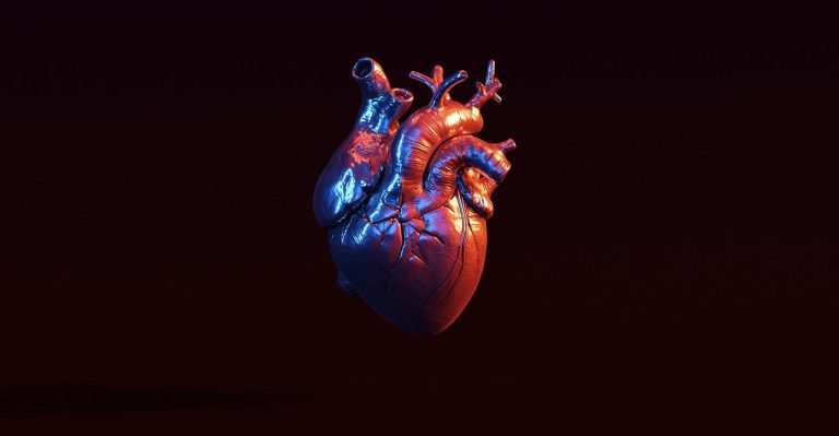 AdobeStock_271919699.jpeg