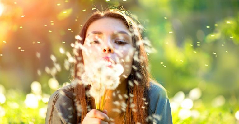 Le pollen tourné du bon côté de la force aide à nettoyer les déversements toxiques