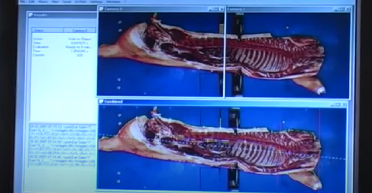 Il est temps de résoudre le besoin d’emballage automatisé de la viande ?  Faites appel aux robots