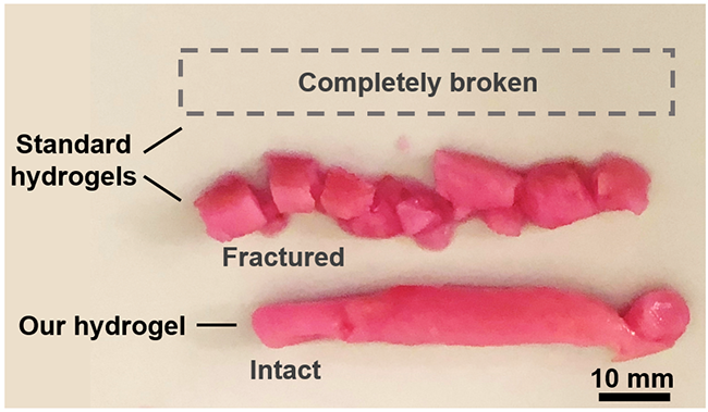 résultats des tests d'hydrogel