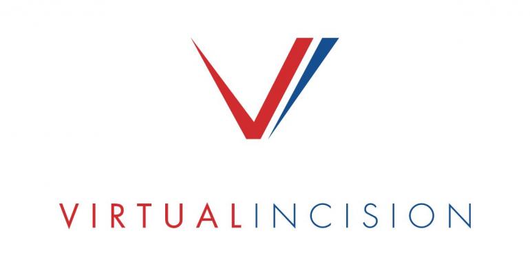 VIC-logo-color.jpg