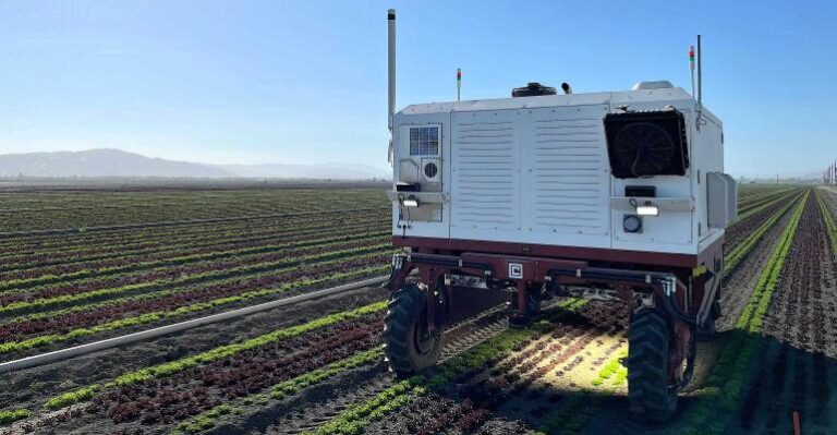 Un robot armé d’un laser élimine les mauvaises herbes sans herbicide