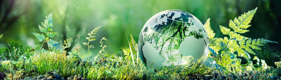 hébergement web vert